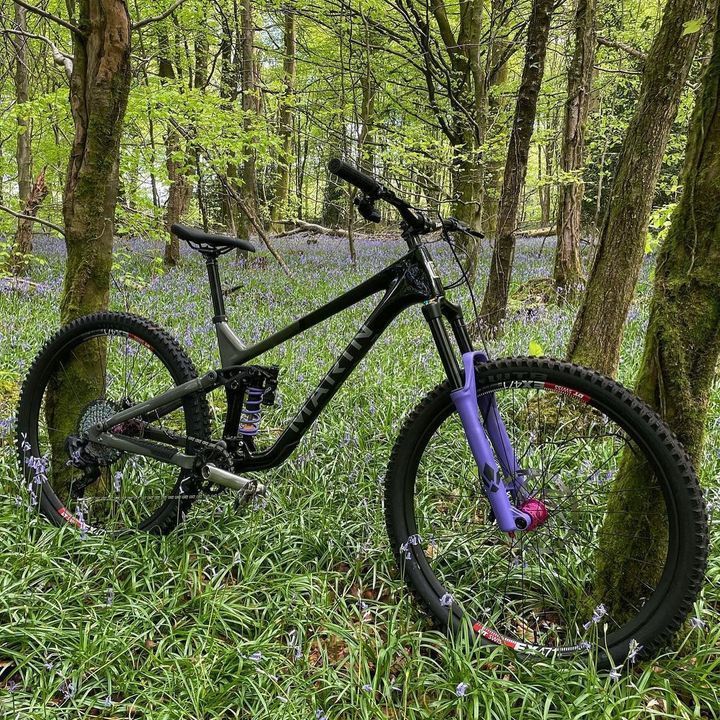 A mountain bike is parked in the middle of a forest.