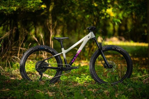 A mountain bike is parked in the grass in the woods.