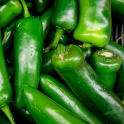 Traditional Jalapeño Sausage Rings