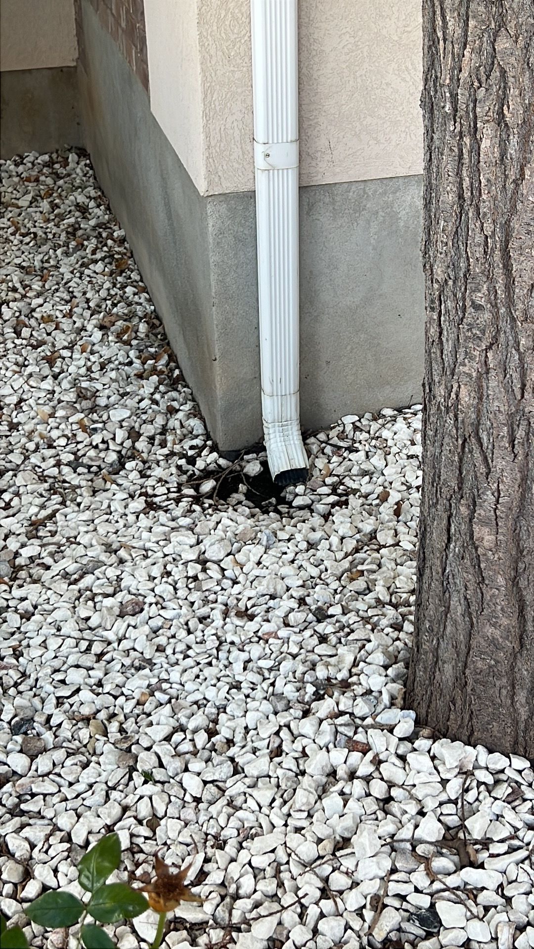 White downspout drains to a bed of gravel near a building and tree.