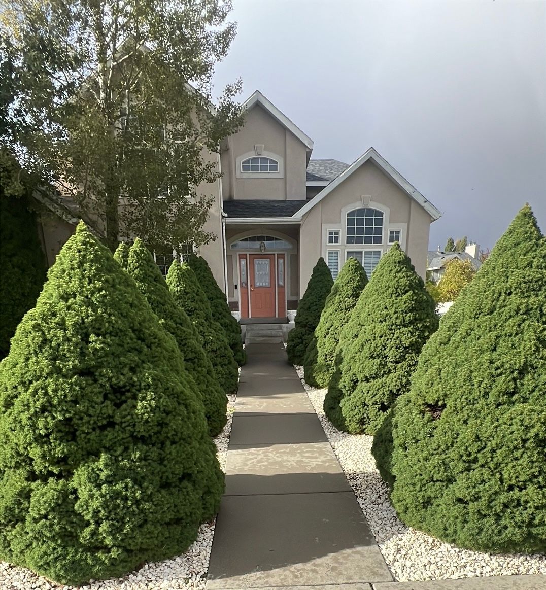 A pathway lined with cone-shaped green bushes leads to a two-story beige house with a peach door.