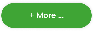 A green button with the words `` + more '' written on it.