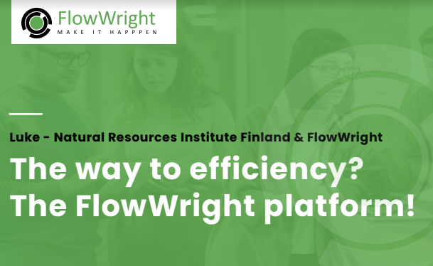 The way to efficiency? The flowwright platform