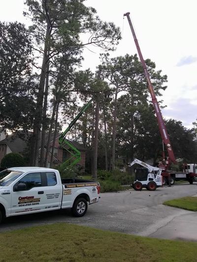 Tall Crane — Jacksonville, FL — Custom Tree Surgeons