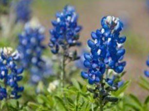 resources | journey homes