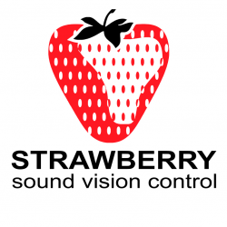 A logo for strawberry sound vision control