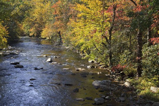 a river with rocks in the middle and trees all around