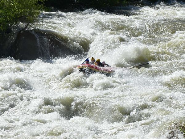 rafting through the kern and trees  in the background