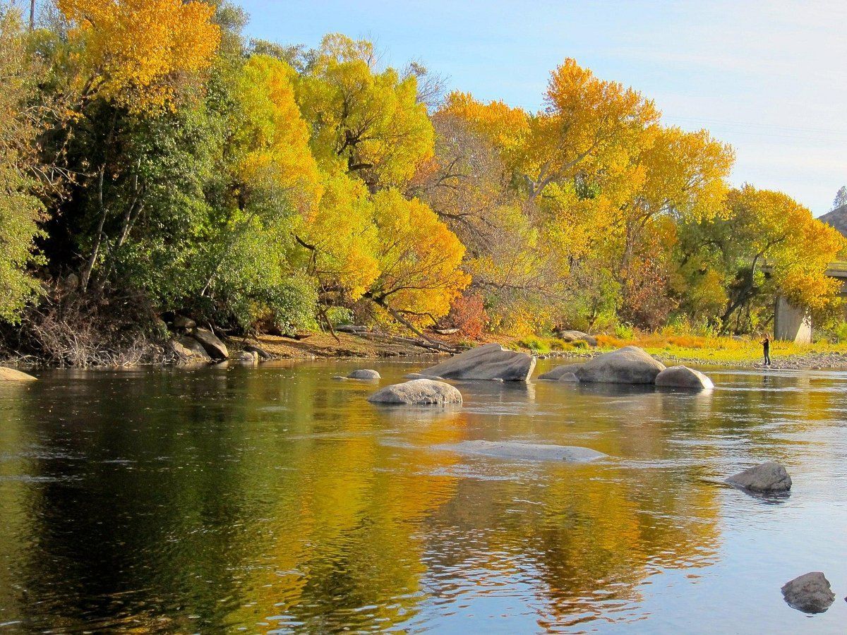 A river with colorful trees lining the banks