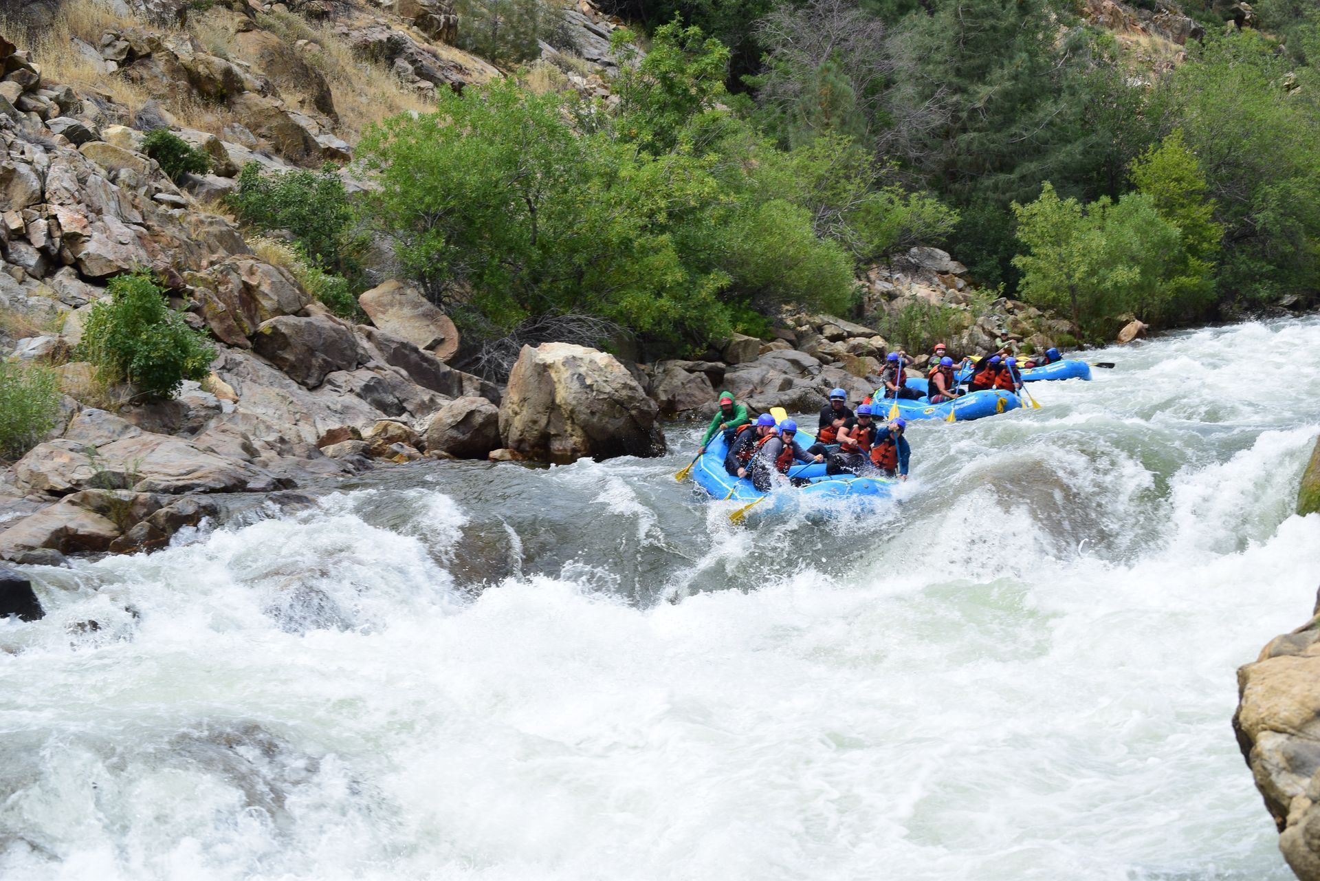 Three blue rafts navigate rapids in a river