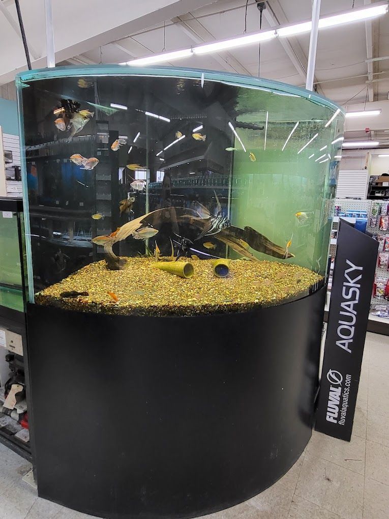 A large fish tank is sitting in a store next to a sign that says aquasky.