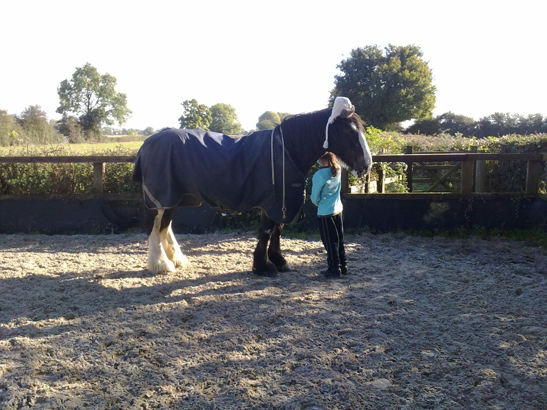Dolly and Elise sharing a quiet moment.