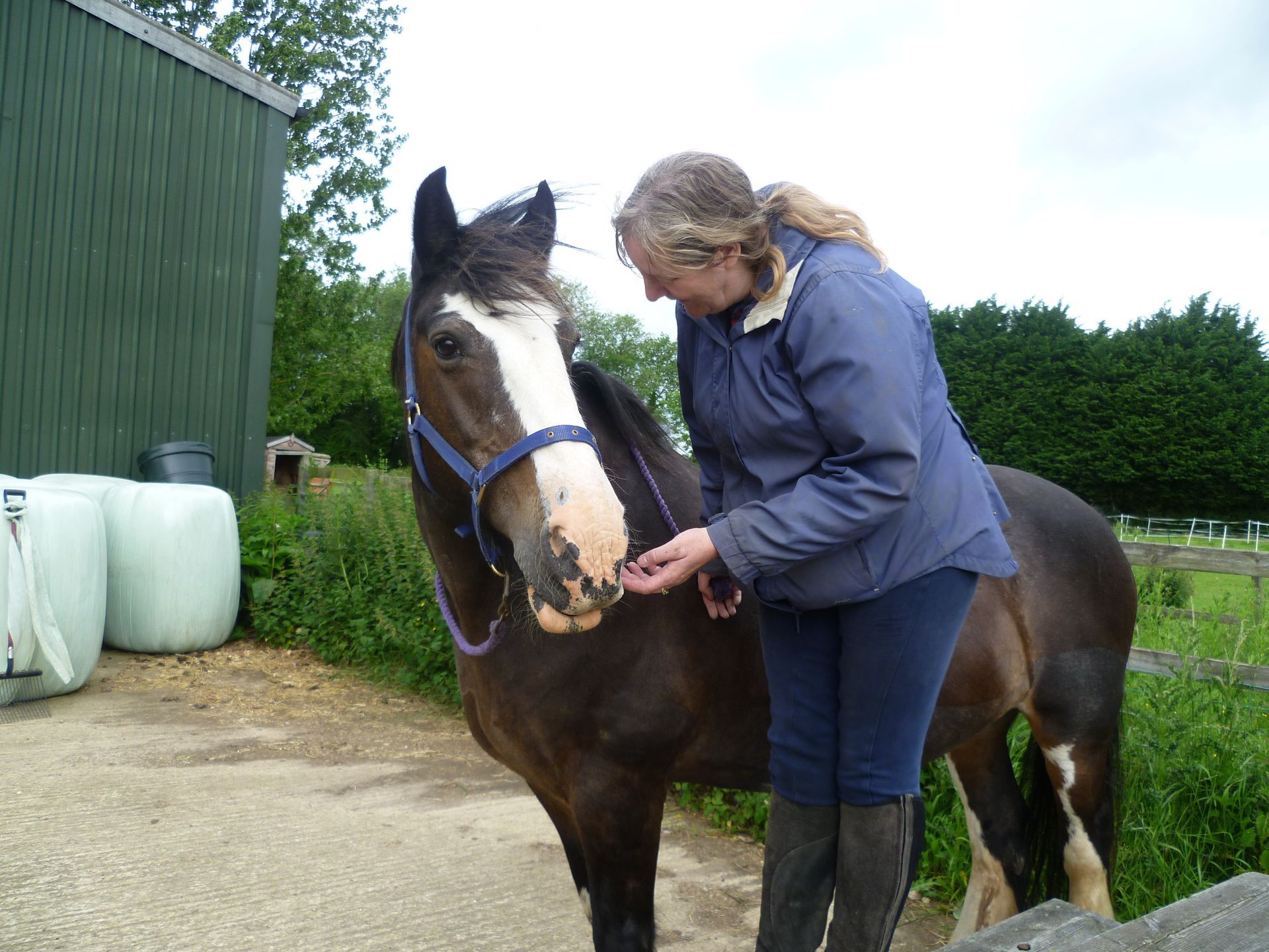 Lorraine stood on a mounting Block by Dolly as they look at each other. 
