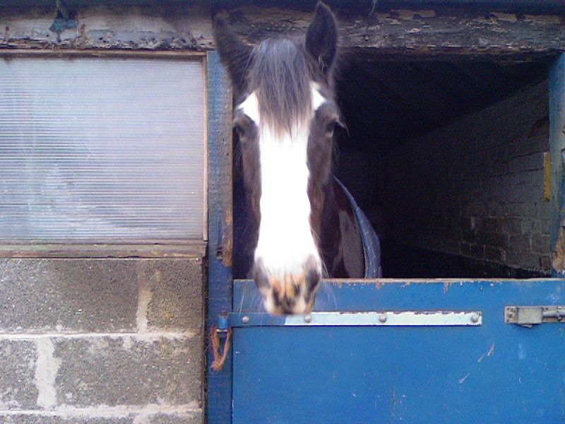 Dolly — teacher, friend, truth-teller.