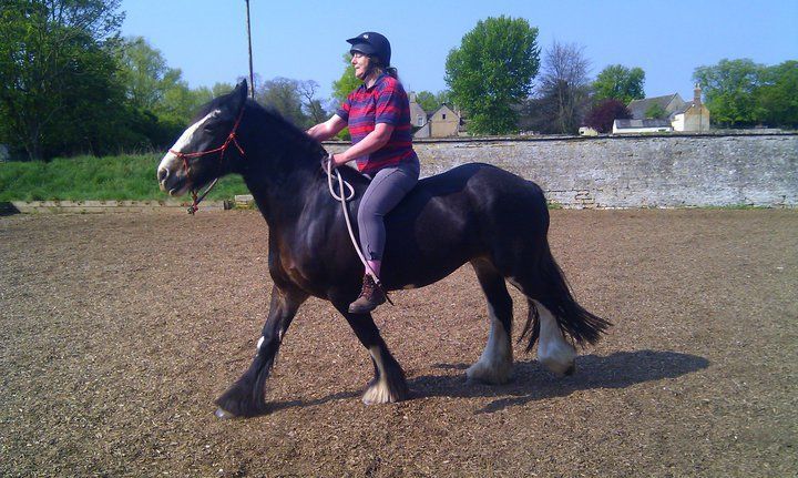 Lorraine riding Dolly Bareback> The horse they said I would never ride again. 