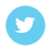 Twitter logo, white bird in a light blue circle.