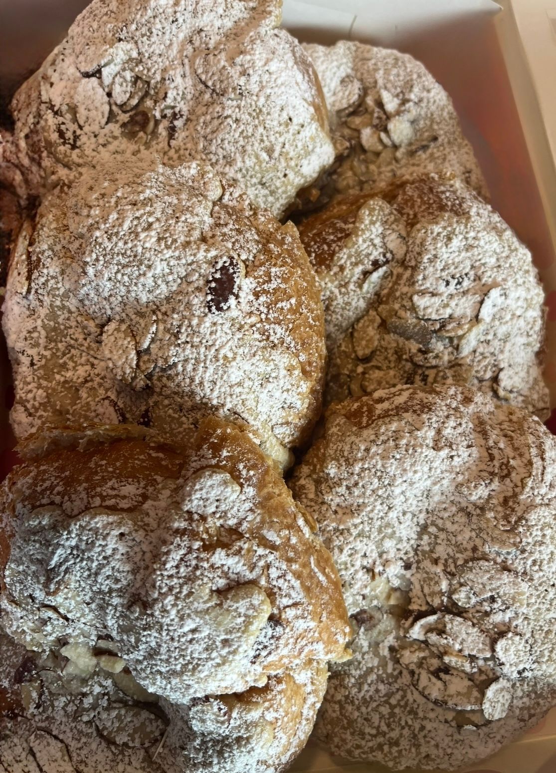 Close-up of pastries covered in powdered sugar and topped with sliced almonds.