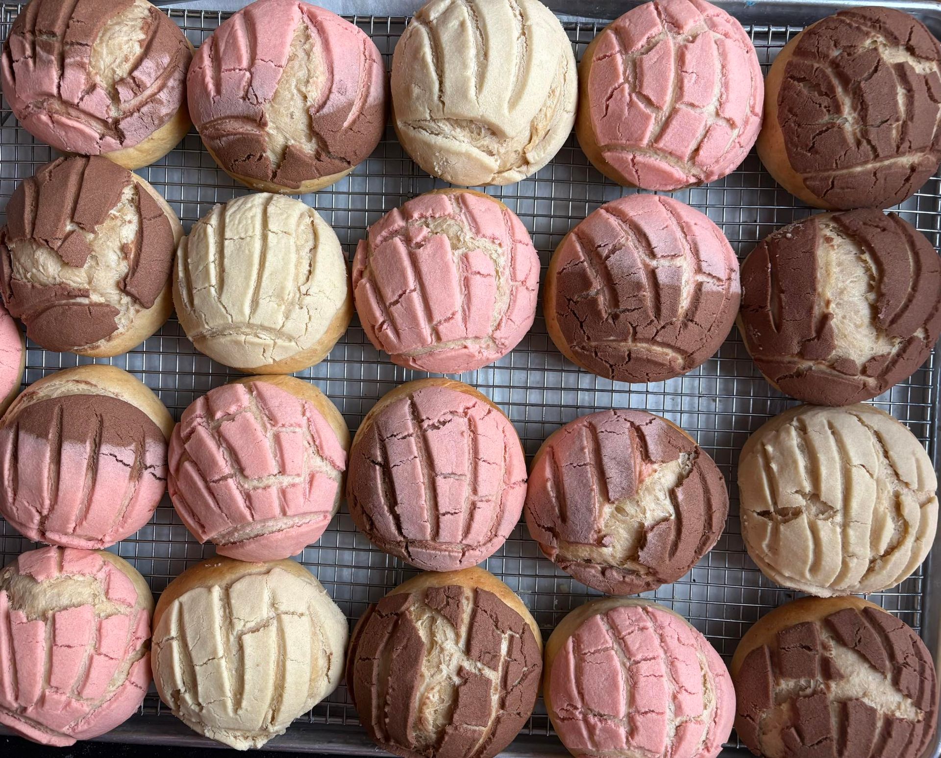 Assortment of concha pastries on a wire rack; various colors including pink, beige, and chocolate brown.