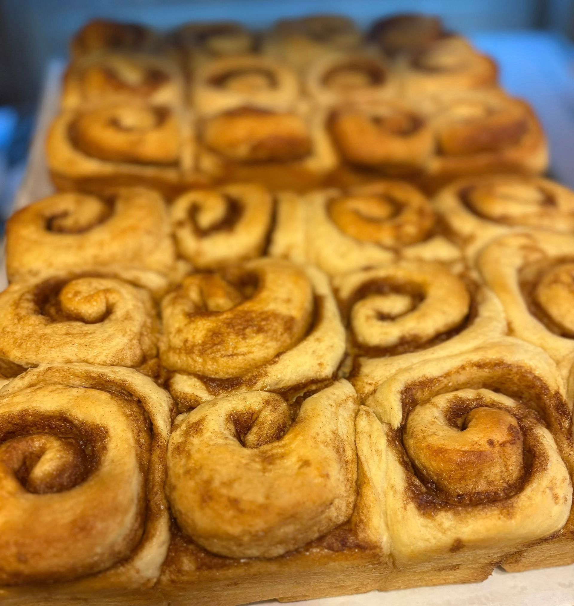 Rows of freshly baked cinnamon rolls, with swirls of cinnamon filling, golden brown, close-up.