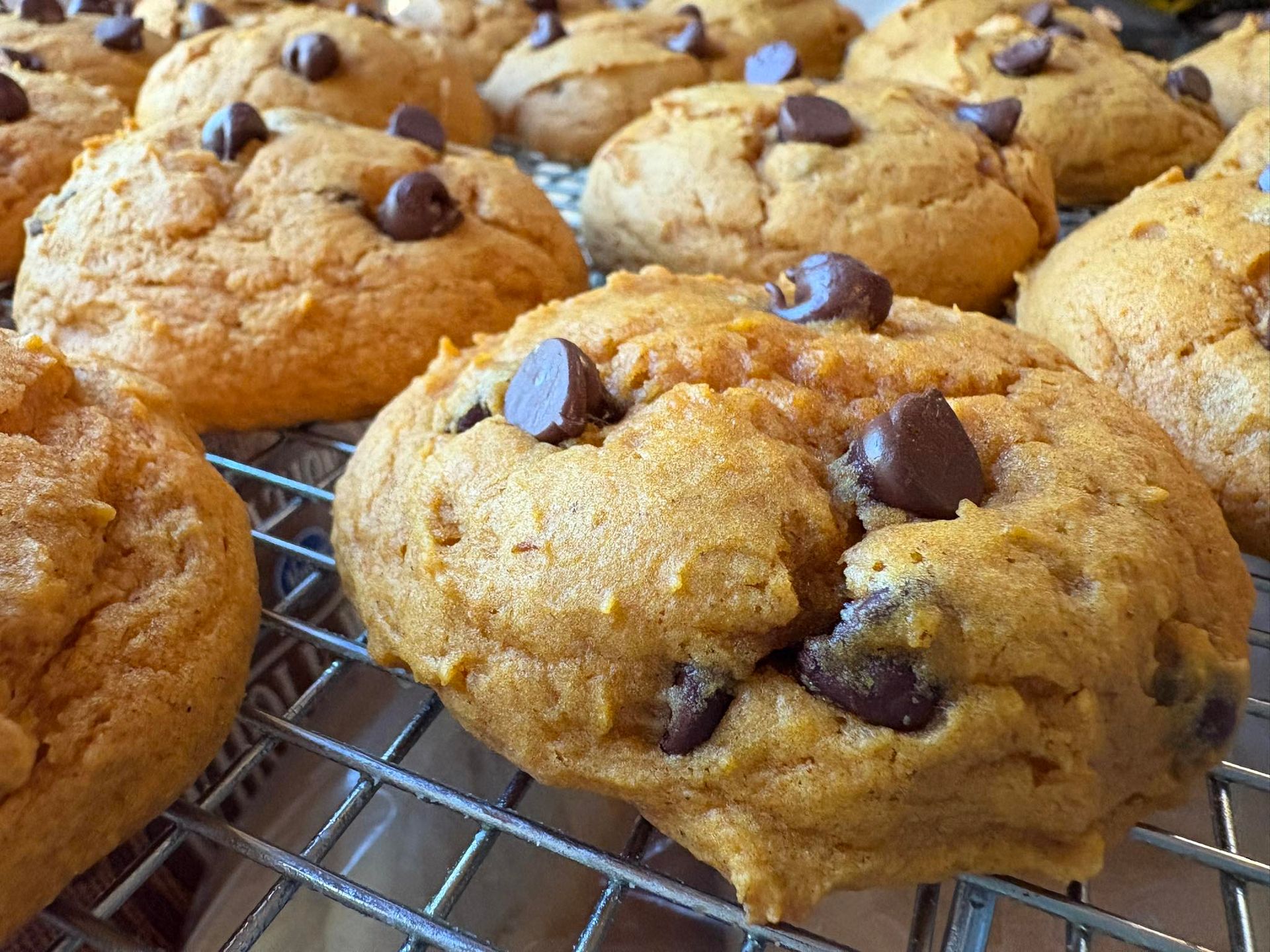 Pumpkin chocolate chip cookies on a wire rack, golden brown with dark chocolate chips.