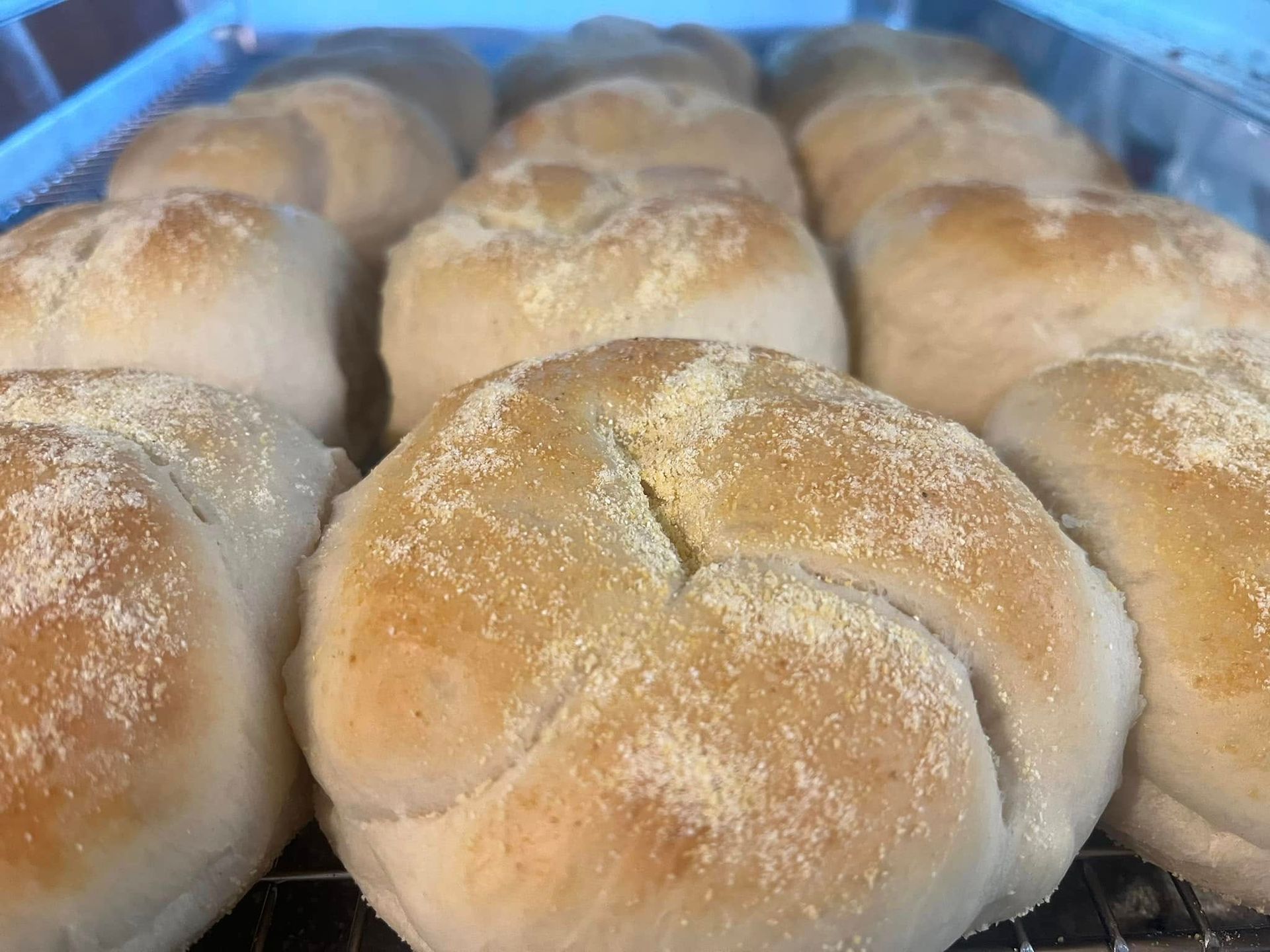Close-up of a dozen golden-brown, crusty Kaiser rolls dusted with flour, arranged in rows on a tray.