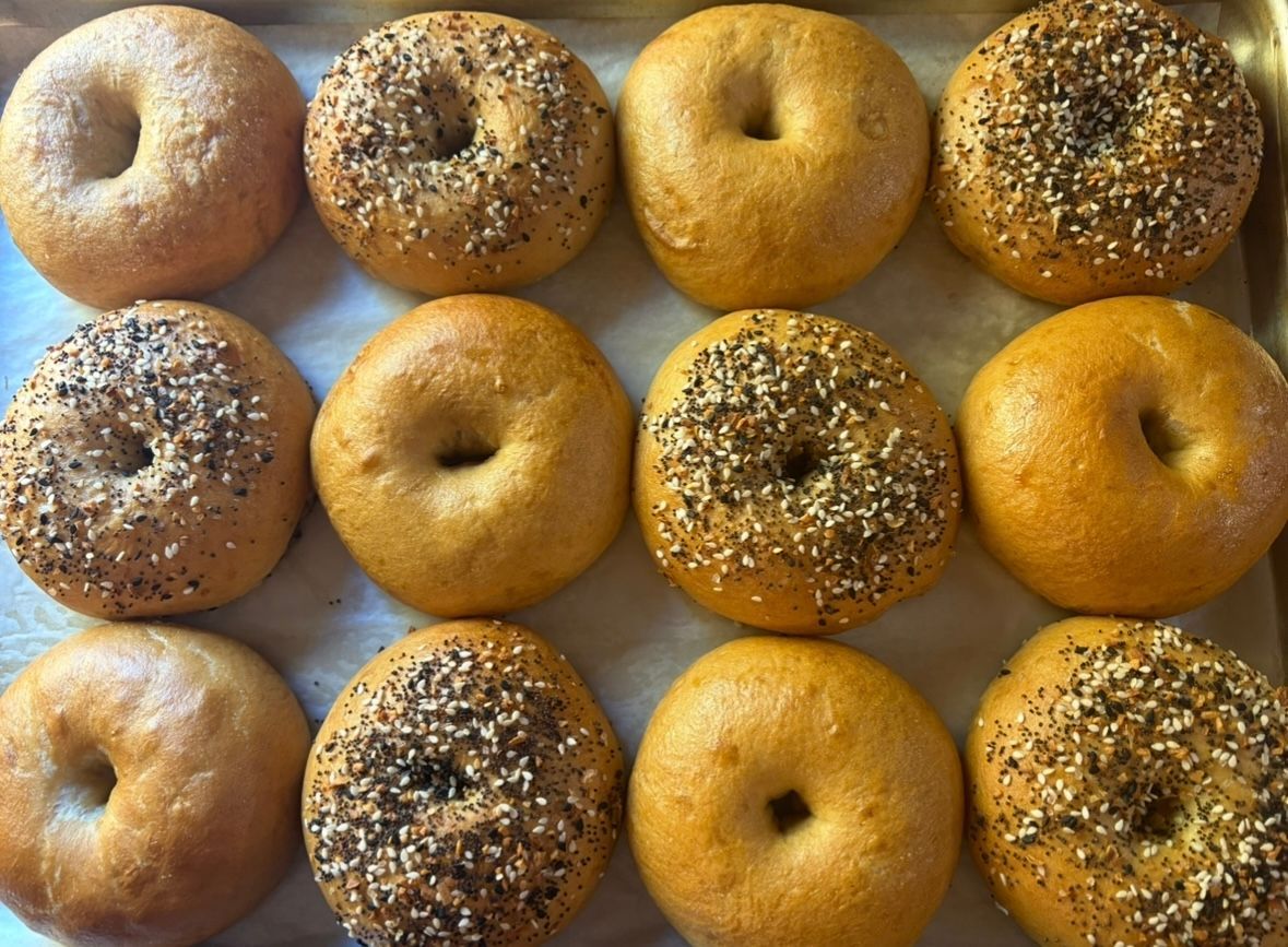 Twelve assorted bagels on a baking sheet; some plain, some seeded.