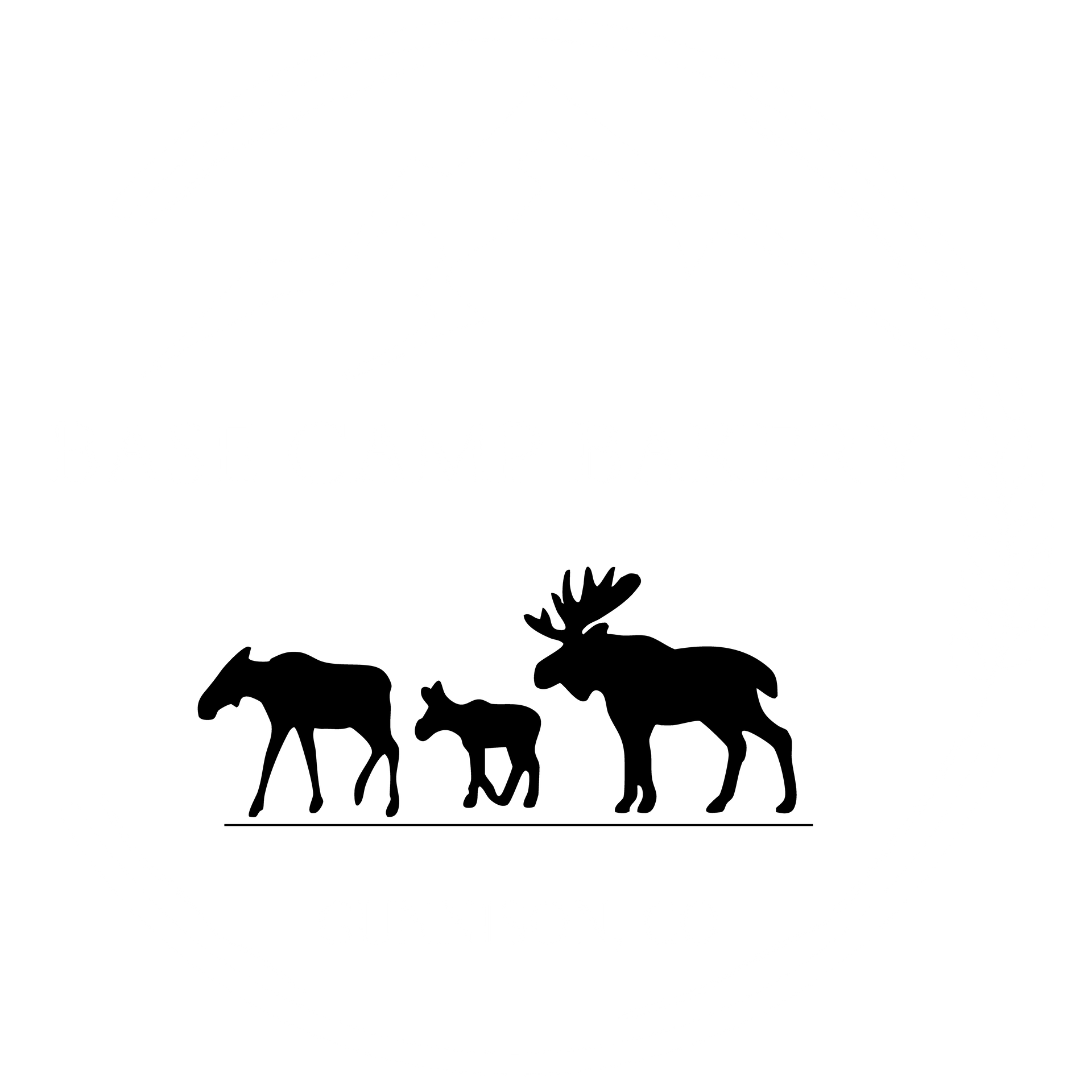 Silhouettes of three moose walking on a line; an adult, a calf, and a second adult with antlers.