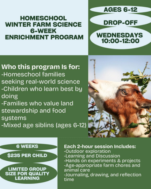 Outdoor table set for a meal with red pot, vegetables, and flowers in a garden setting.