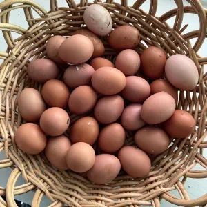Basket filled with various sized brown eggs.