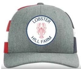 Gray baseball cap with 