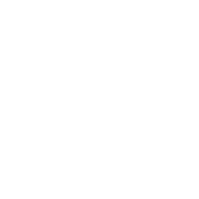 birdies logo
