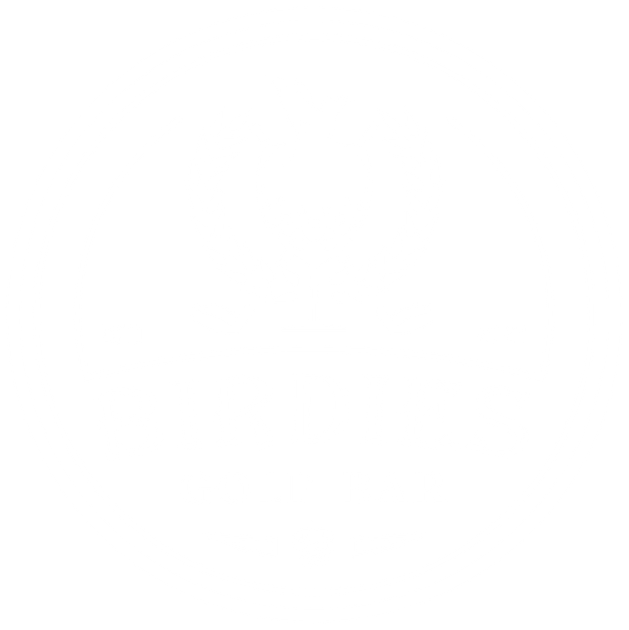 birdies logo overlay