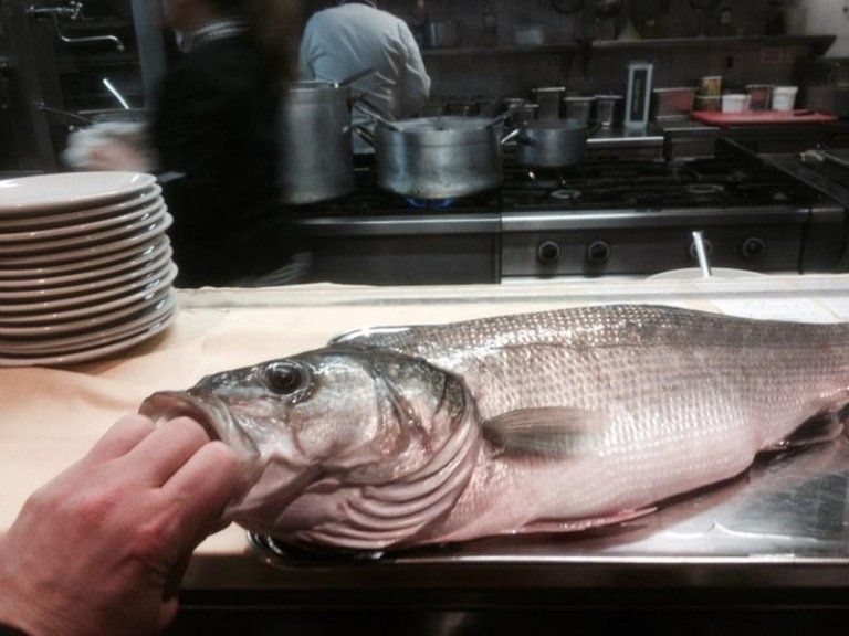 preparazione pesce