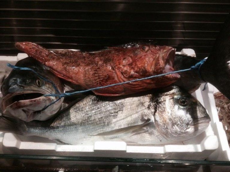 pesce fresco in ghiaccio
