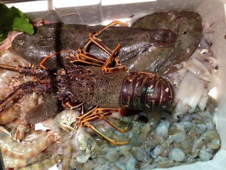 pesce e crostacei