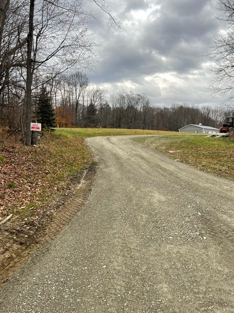 Grassy Field With Trees in the Background