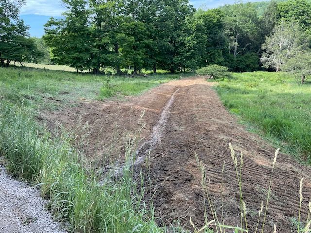 Grassy Field With Trees in the Background