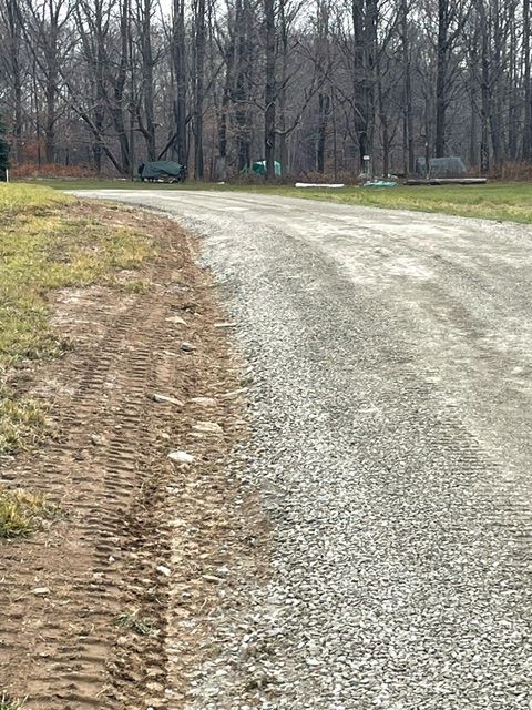 Dirt Road Going Through a Field With Trees in the Background