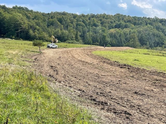 Dirt Road Going Through a Grassy Field With Trees in the Background