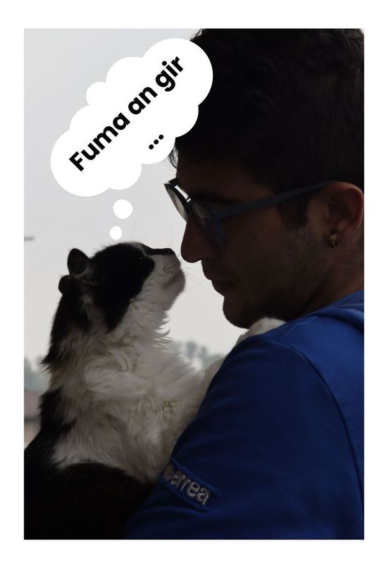 Un uomo che tiene in braccio un cane con un fumetto che dice fuma an gir