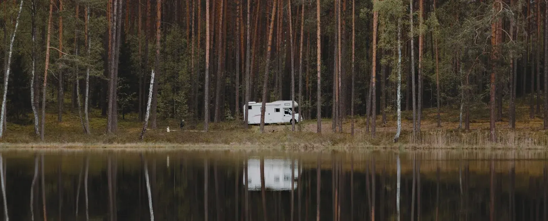 Un camper è parcheggiato sulla riva di un lago in mezzo a una foresta.