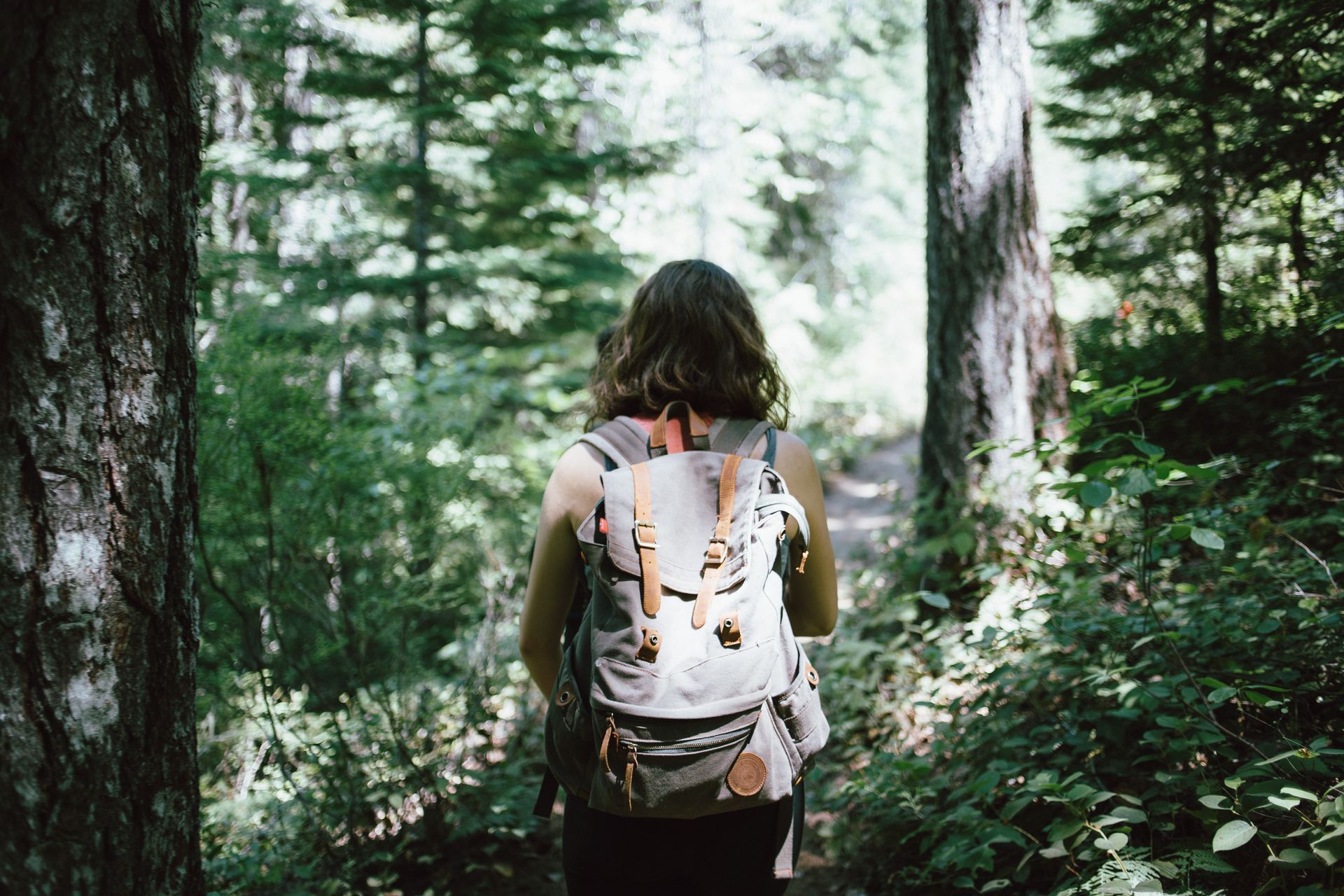 Woman hiking through a sunlit forest, wearing a backpack. Trees and greenery surround.