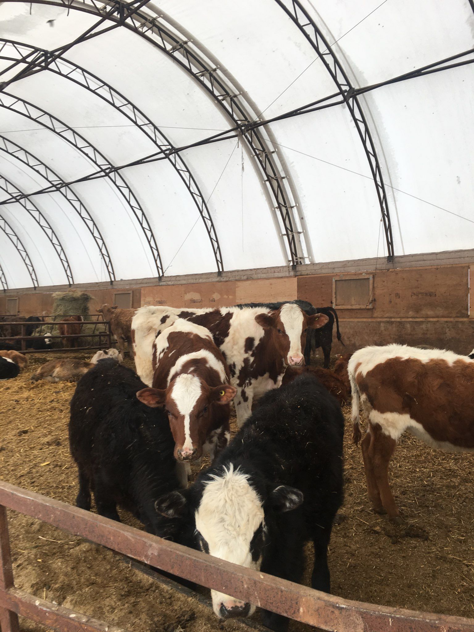 Silver Stream Shelters - Fabric Buildings