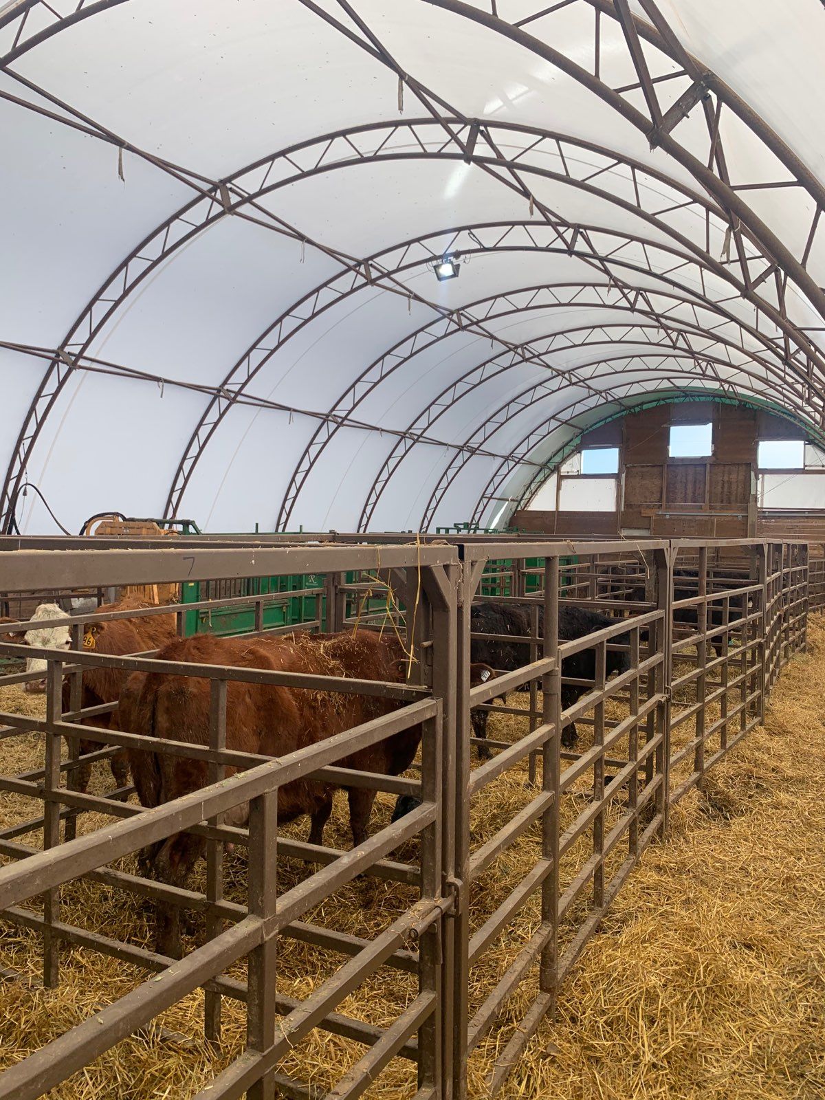 Silver Stream Shelters