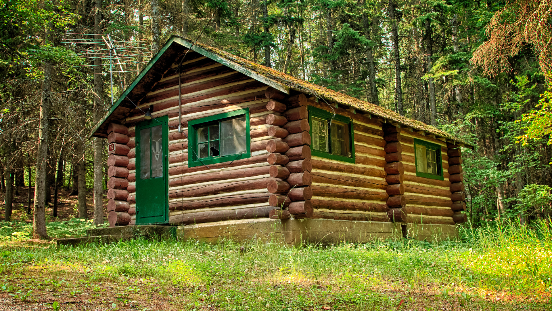 A close up of the inside of a log cabin.