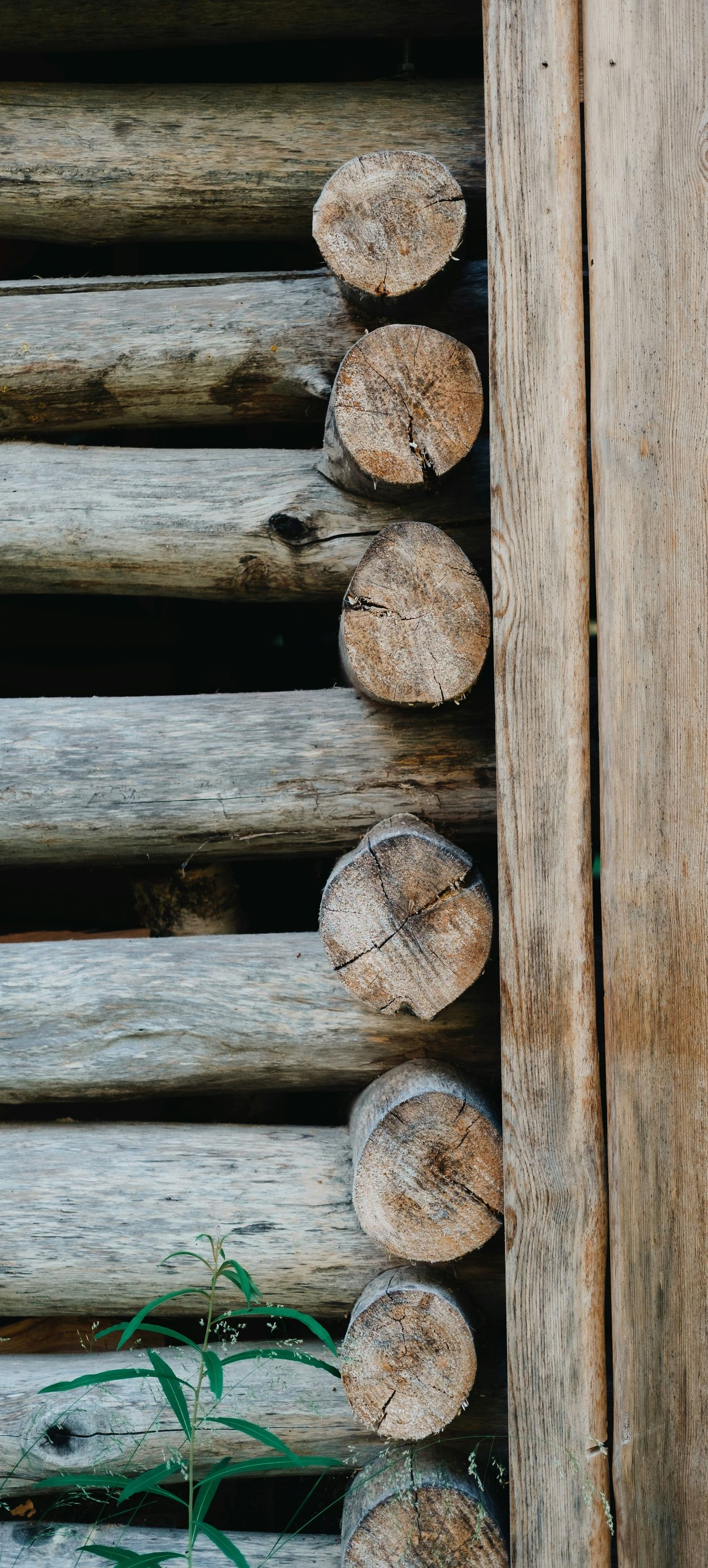 A side view of a wooden structure with horizontal logs stacked against a vertical wooden plank wall.