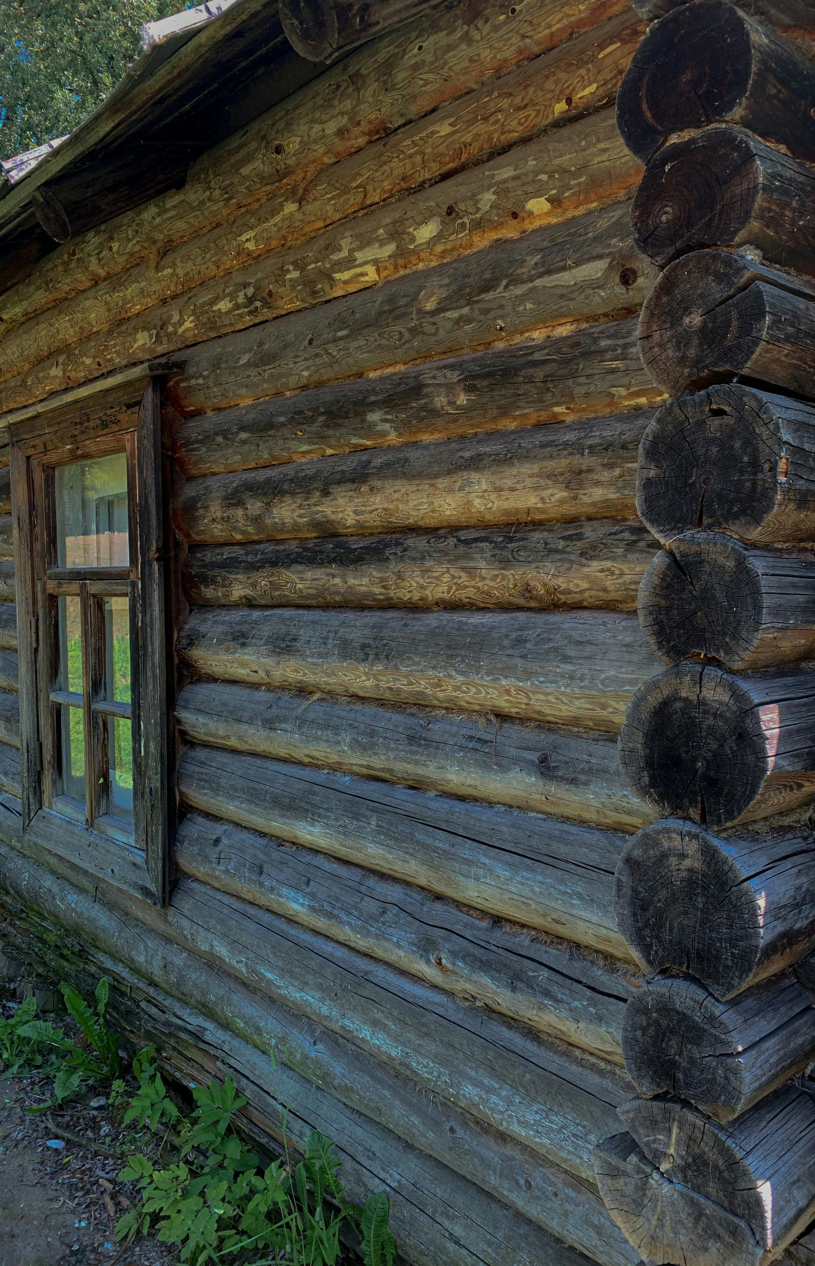 A close-up view of a rustic log cabin wall featuring horizontal stacked logs, a wooden window frame, and stacked corner.