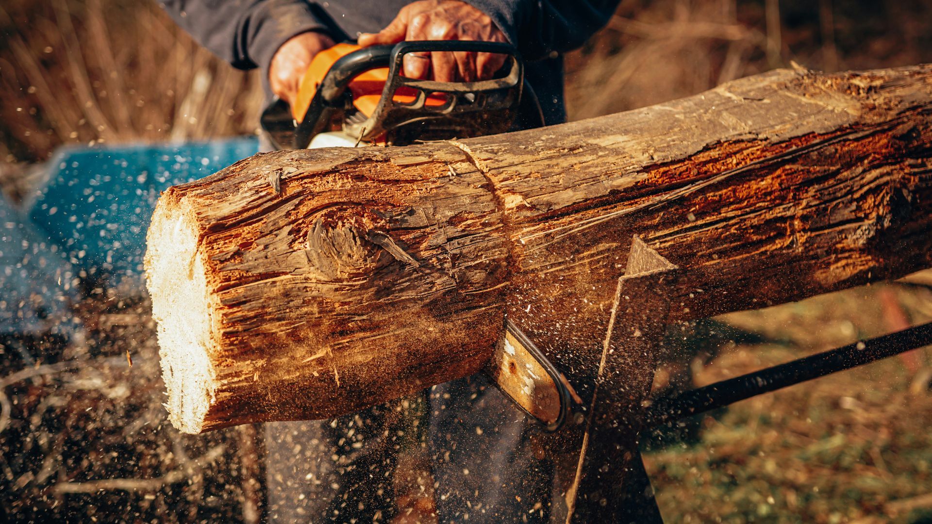Person cutting a log with a chainsaw, wood chips flying in a wooded outdoor setting.