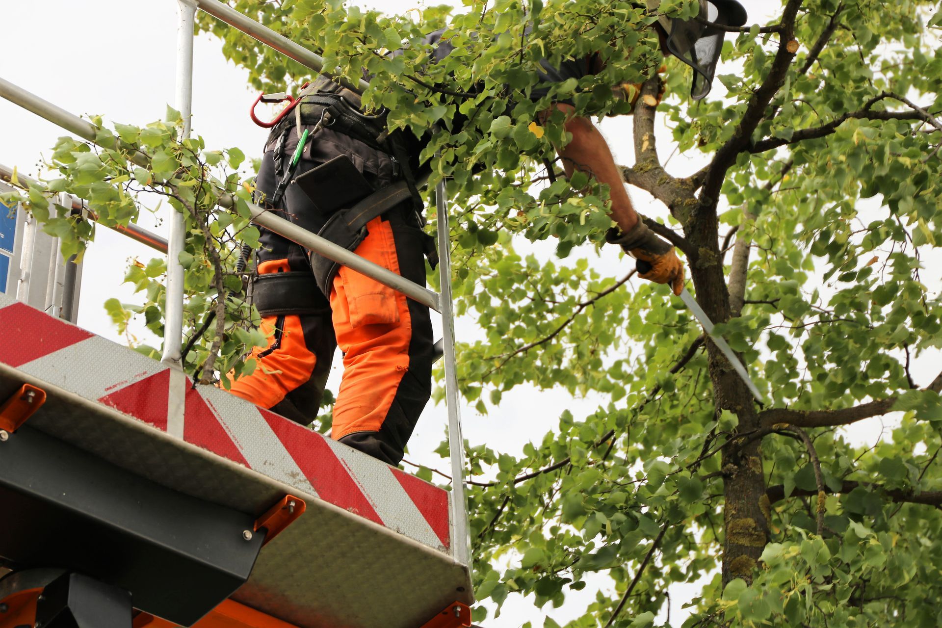 Worker in orange gear trimming tree branches from a lift truck