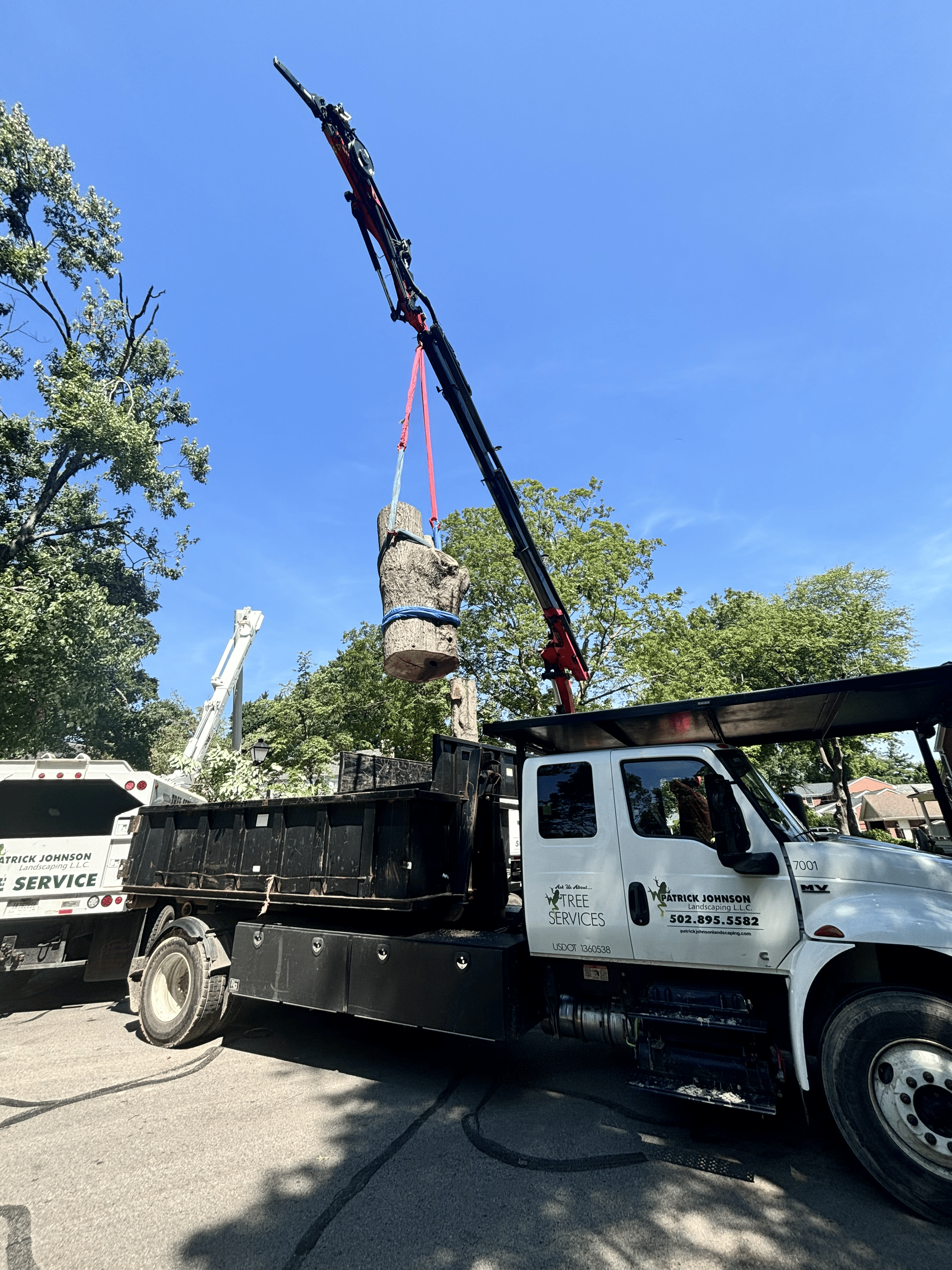Person in an orange lift trimming a tree with green leaves against a blue sky.
